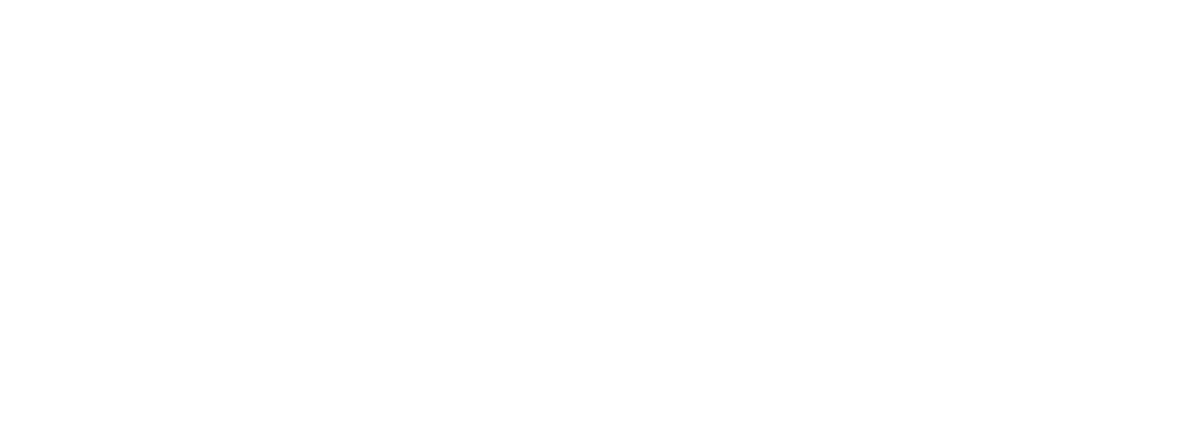 Maxo vit logo